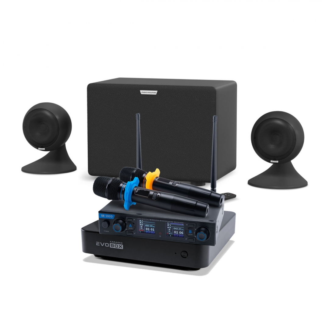 караоке-комплект EVOBOX + EvoSound Sphere 2.1 в Беслане