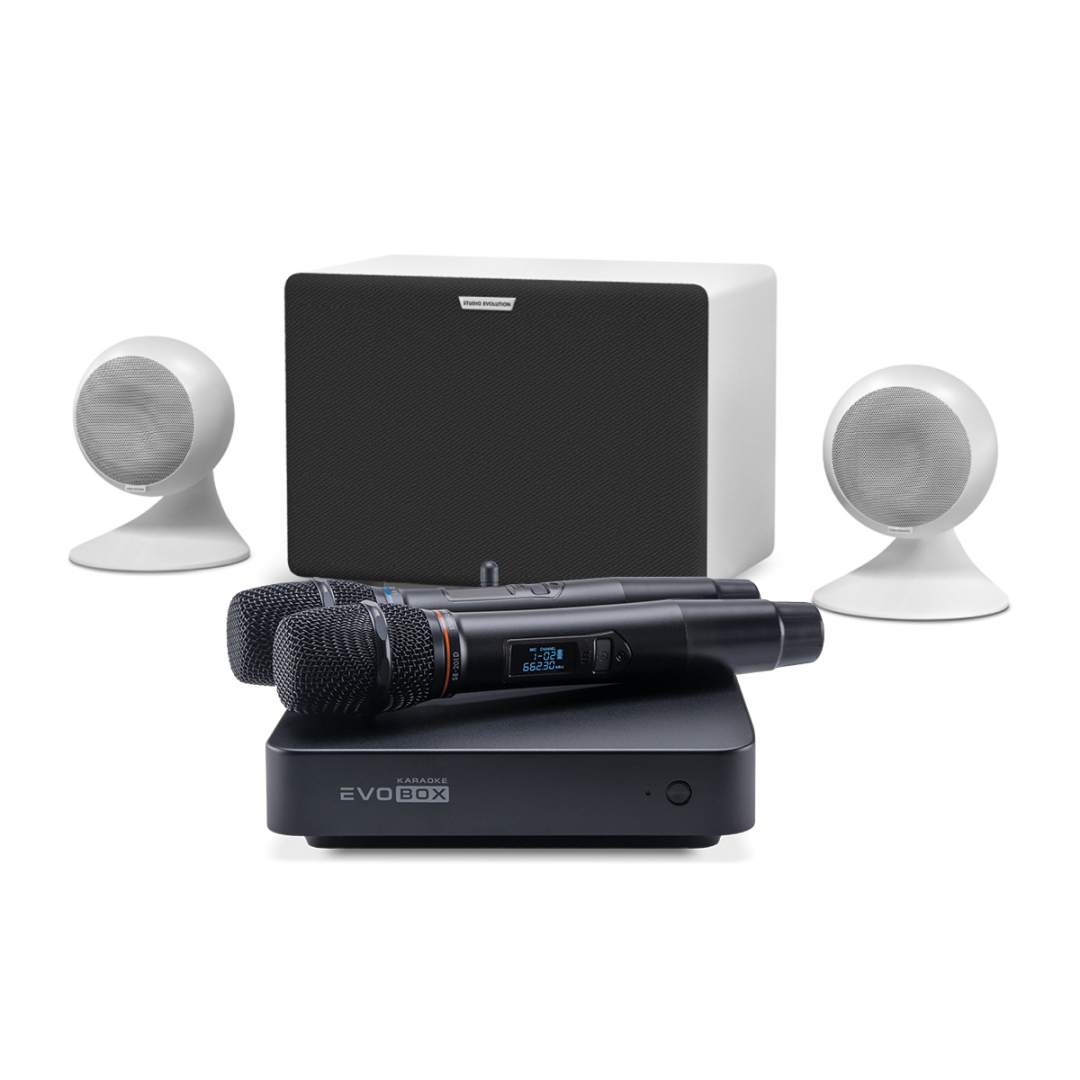 караоке-комплект EVOBOX Classic + EvoSound Sphere 2.1 в Беслане