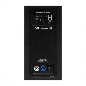 Активная акустическая система AST-310A в Беслане