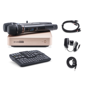 EVOBOX Classic караоке-система для дома в Беслане