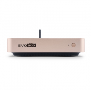 EVOBOX Plus караоке-система для дома в Беслане